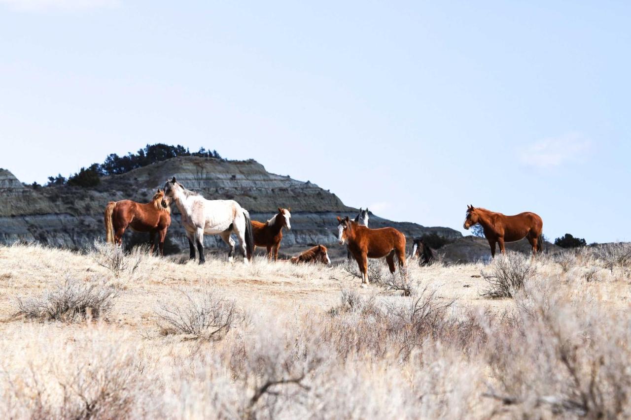 Badlands Suite Less Than 1 Mi To Teddy Roosevelt Park! Медора Экстерьер фото