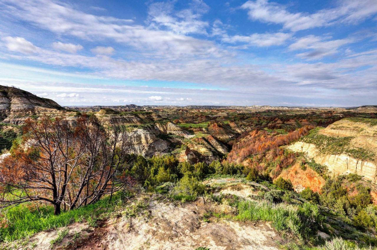 Badlands Suite Less Than 1 Mi To Teddy Roosevelt Park! Медора Экстерьер фото